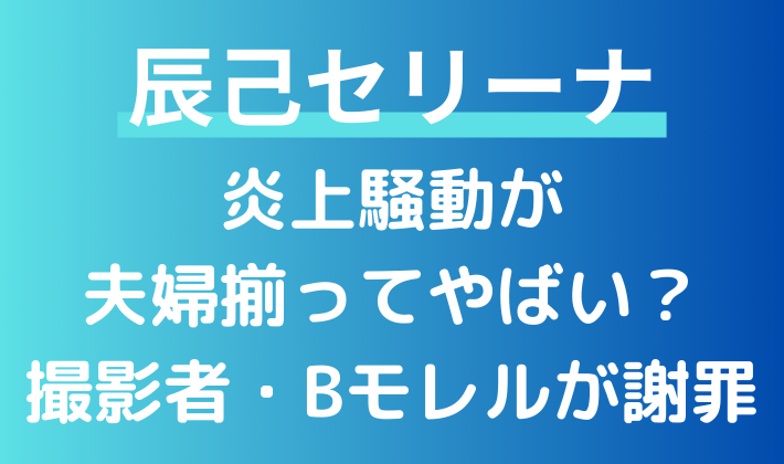 辰己セリーナの炎上騒動が夫婦揃ってやばい？撮影者の涙謝罪についても調査